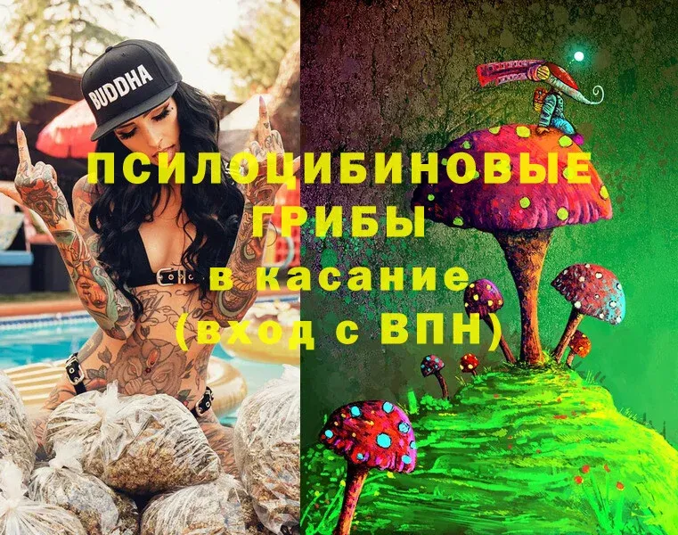 гидра сайт  Вилюйск  Галлюциногенные грибы Psilocybe 